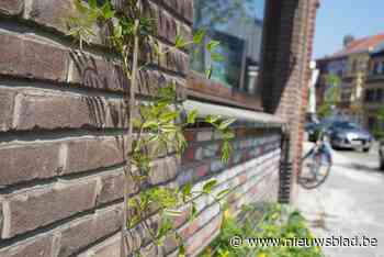 Wil je geveltuintje? Stadsdiensten doen gratis voorbereidingswerken