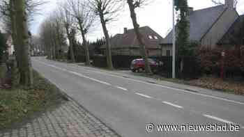 Klokkestraat in Duffel drie dagen afgesloten voor alle verkeer door snoeiwerken platanen