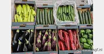 "Brix Griekse perssinaasappelen hoger dan ooit"