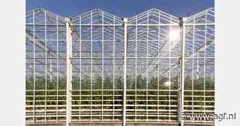 "GLB-steun beter verdeeld in Vlaanderen dan in Europa"