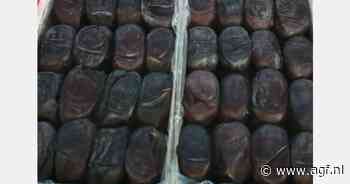 Grote Indiase vraag naar Iraanse Mazafati dadels