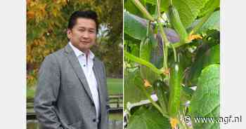 Trump's tarieven creëren onzekerheid in Canadese glasgroentensector