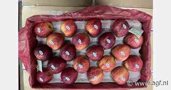 "Ik denk niet dat Trump zal terugkrabbelen om Oekraïne te helpen"