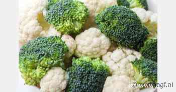 Nederlandse bloemkoolexport naar Spanje neemt toe door klimaatverandering