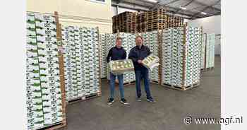 "Verpakte India-druiven arriveren op zo goed als lege markt"