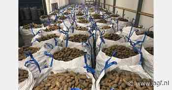"Nu de prijs van de aardappelen daalt, trekt de vraag vanuit de export weer wat aan"