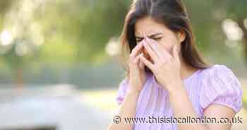 The hay fever hack all sufferers should know to avoid a season of the sniffles