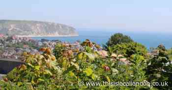 Grab yourself an unforgettable getaway with Shorefield Holidays