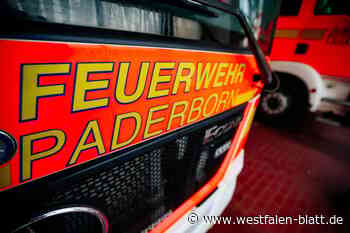 Zwei Personen mit Rauchgasvergiftung eingeliefert