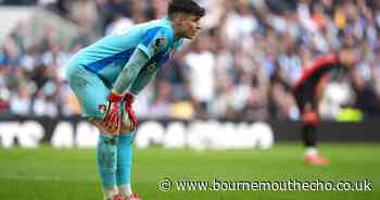 Disappointment in the capital: Player ratings as Cherries draw at Spurs