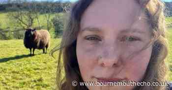 Farmers' plea with dog owners after 'hideous' livestock attacks