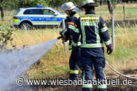 Brennender Busch nahe Schule gibt Rätsel auf
