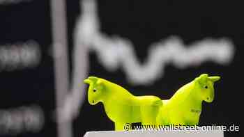 Volatiler Markt: Diese US-Aktien trotzen den Zöllen, sagen Analysten