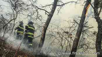 Over 80 N.Y. FDs battle wind-driven, 600-acre brush fire