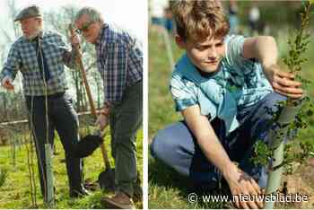 Koppelingsgebied wordt weer wat groener: “Nog meer ruimte voor natuur, landbouw en recreatie”