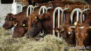 Lente-ontdektocht Twiskespeurders