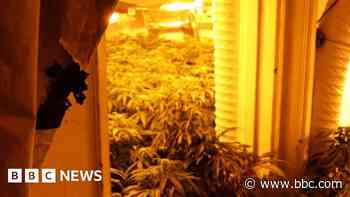 Operation targets drugs supplied by organised crime