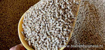 Daling tarweprijs vooral gunstig voor varkensvoer