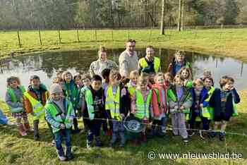 Leerlingen helpen padden veilig de weg over