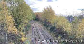 Revived Ivanhoe Line could be 'catalyst' for better local transport, say campaigners