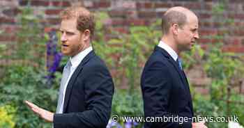 Prince William 'won't be King before making up with Harry' whether they 'want to or not'