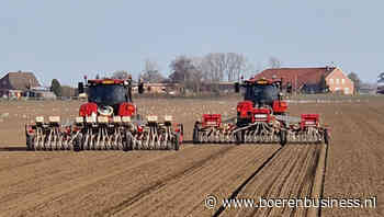 Het uienseizoen van start: afwachten of actie?