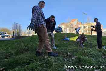 Studenten en personeel VUB planten bomen en struiken op campus