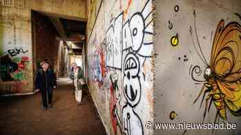 Spookhotel trekt in drie weken tijd bijna 16.000 bezoekers: “Nu ik het zie, ben ik blij dat het nooit afraakte”