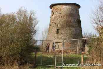 Tarandusmolen krijgt broodnodige renovatie en zal opnieuw draaien