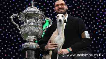 Crufts 2025 embroiled in row over Best in Show winner as fans claim favourite was 'robbed'