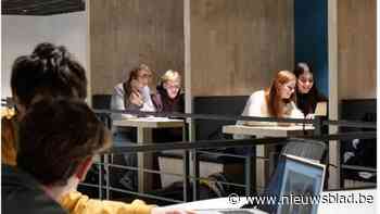 Leerlingen Githo Nijlen ontvangen leeftijdsgenoten uit Baskenland en Litouwen