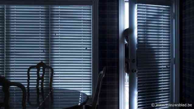 Twee inbraakpogingen in Paal