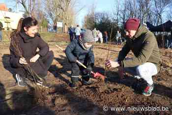 Sinds 2019 werden in Diest 31.000 bomen geplant: “Ons doel van één boom per inwoner gehaald”