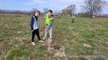 Leerlingen in Schelle stoppen 1750 bomen in de grond als slot van provinciale actie