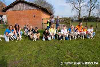 Hier werd de start van het lammerseizoen niet gemist: kinderboerderij ontvangt vier drielingen op week tijd