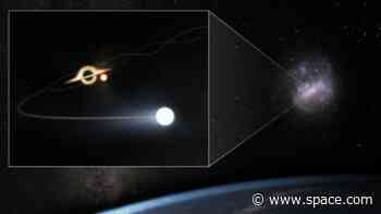 Hidden monster black hole in the galaxy next door fired stars at us like million mph cosmic bullets