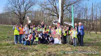 Leerlingen steken 1.750 bomen in de grond op perceel aan Hillekensweg