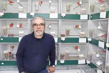 Vogelkweker Jaak (70) vertoeft zo’n 5 uur per dag tussen zijn kanaries, mét goedkeuring van zijn vrouw: “Op die manier weet ik altijd waar hij zit”