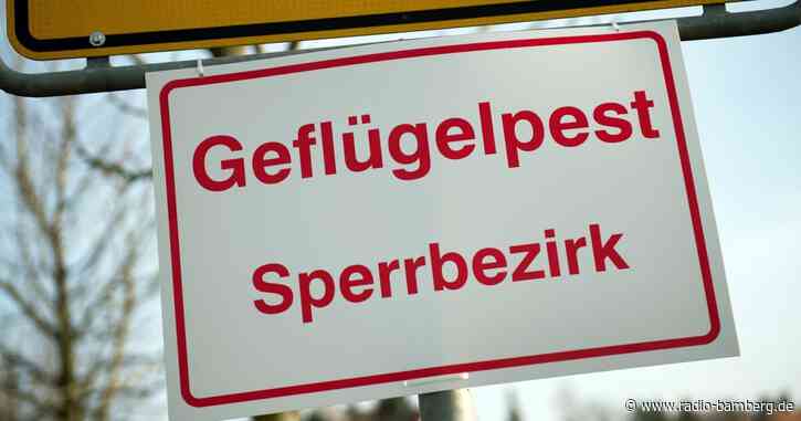 Geflügelpest-Verdacht in Mastbetrieb in Feuchtwangen