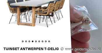 Belgische vrouw bestelt tuinmeubelen op Nederlandse website, na weken wachten krijgt ze smiley in brievenbus: ‘Gefopt en mijn centen kwijt’