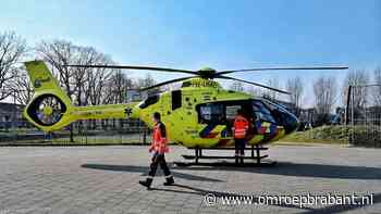 Man zwaargewond na val uit boom, slachtoffer was takken aan het zagen