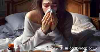 Where you can get a free NHS flu vaccine in Barnet