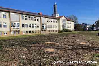 Steinhagen lebt von der Substanz und auf Kredit: Wer soll das bezahlen?