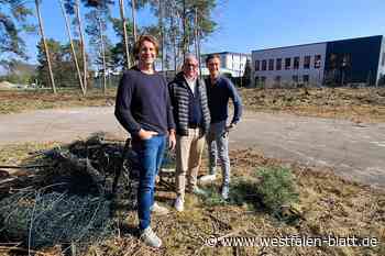 Grünes Klassenzimmer im Pausenhof