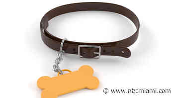 Miami woman who kicked dog ‘like she was punting a football' arrested: Police