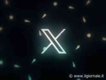 X in down per tre volte: così è finito sotto attacco del gruppo pro-pal Dark Storm Team