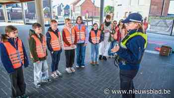 Het Grote Voetgangersexamen helpt ongevallen in Hasseltse schoolbuurten terug te dringen