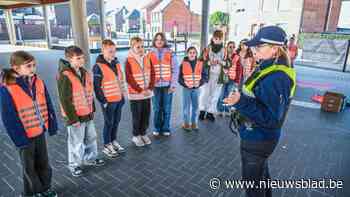 Het Grote Voetgangersexamen helpt ongevallen in Hasseltse schoolbuurten terug te dringen