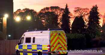 Boy accused of attempted murder during Halloween campout was 'trying to impress girl he fancied'