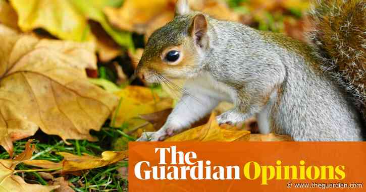 Plants, animals and insects come to Britain from all over the world. It would be a mistake to welcome them all  | Tim Blackburn
